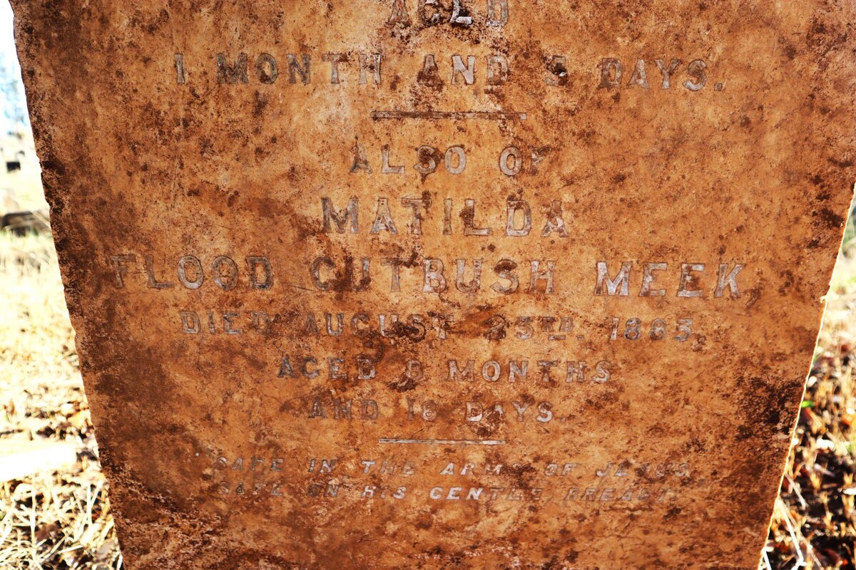 TISSIMAN Annie Ellen -1882 :: MEEK Matilda Flood Cutbush -1883_2