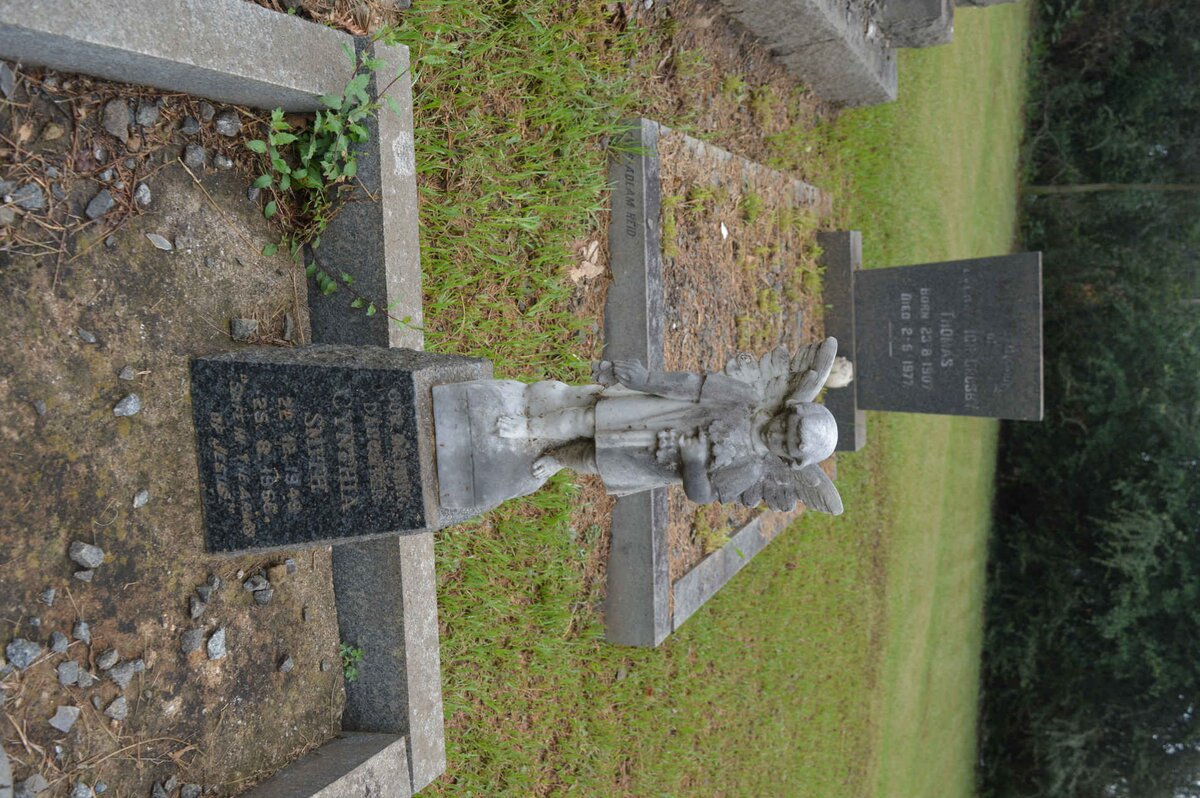 SMITH Cynthia 1949-1966