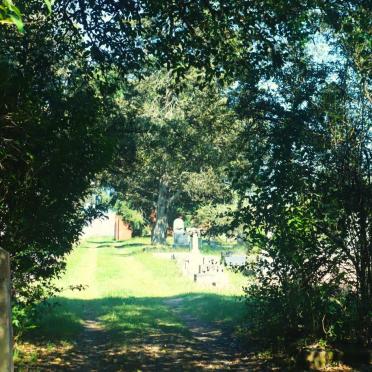 3. Overview / Oorsig