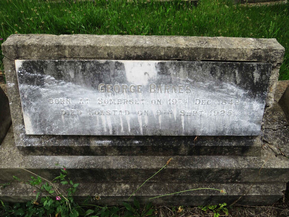 BARNES George 1842-1925