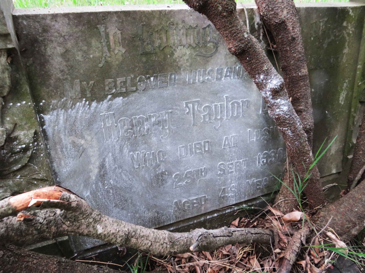 BURCHELL Henry Taylor -1930