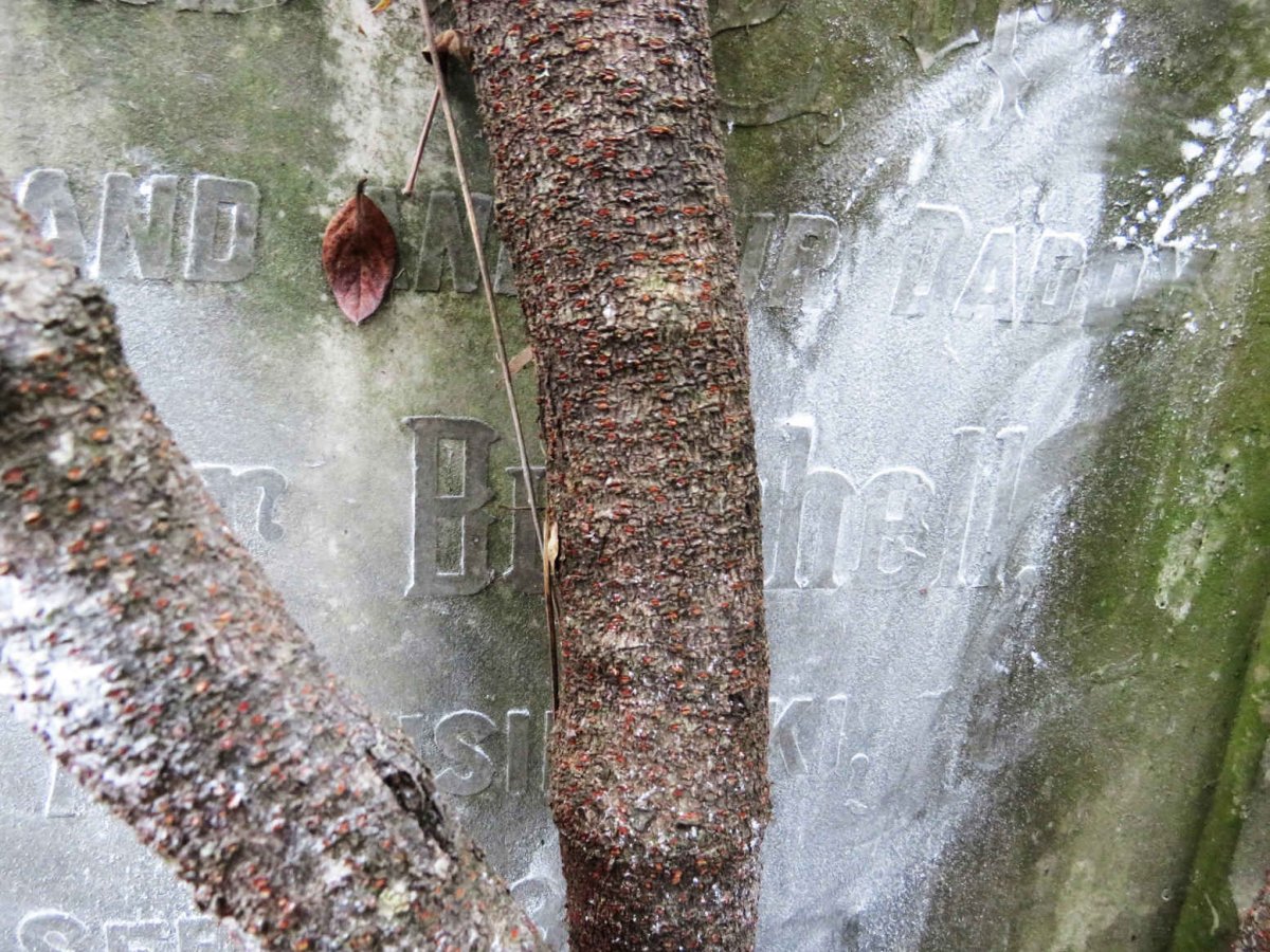 BURCHELL Henry Taylor -1930