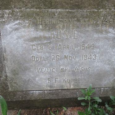KOTZE Rosie 1943-1943