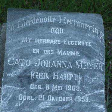MEYER Cato Johanna nee HAUPT 1909-1953