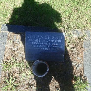 STROUT Dylan 1981-2002