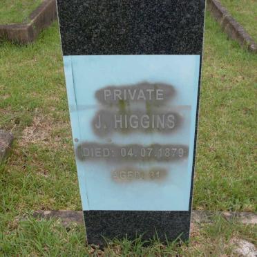 HIGGINS J. -1879