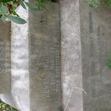 JONES Henry William 1850-1905