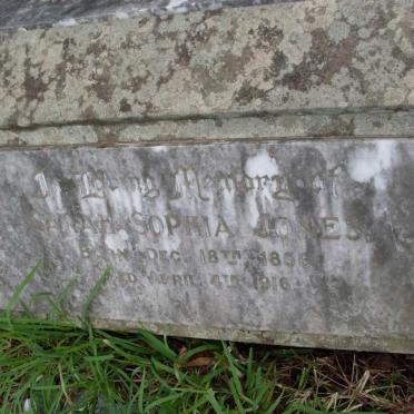 JONES Sarah Sophia 1856-1916