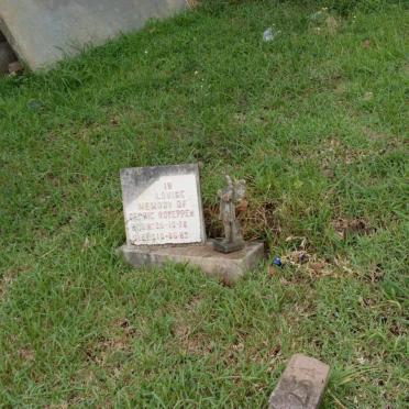 ROYEPPEN Cedric 1974-1983