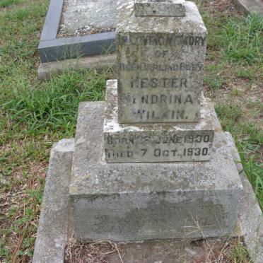 WILKIN Hester Hendrina 1930-1930