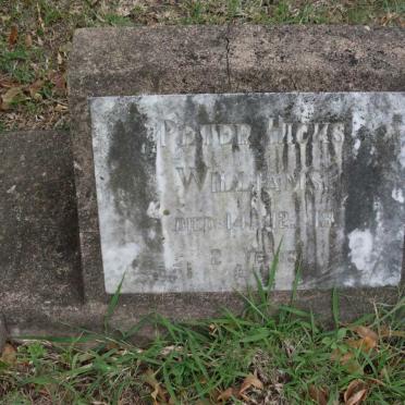 WILLIAMS Peter Hicks -1913