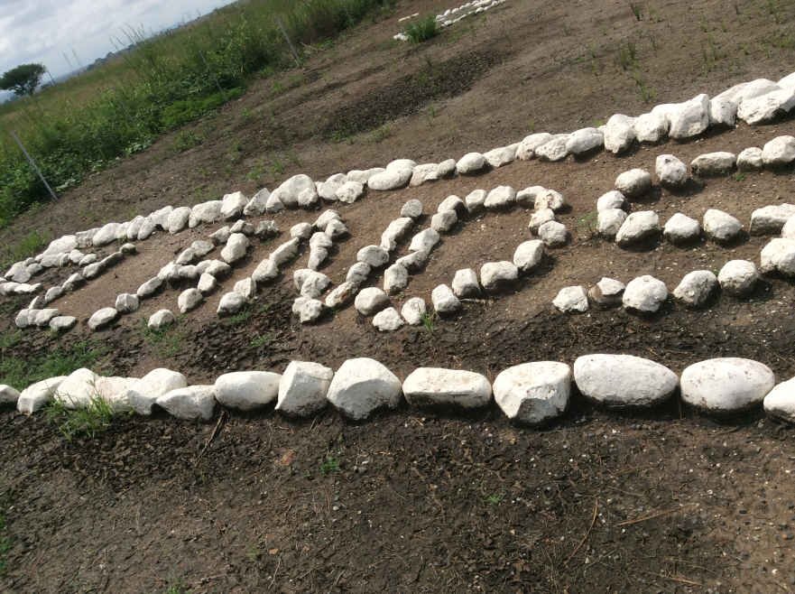 3. Overview / Oorsig