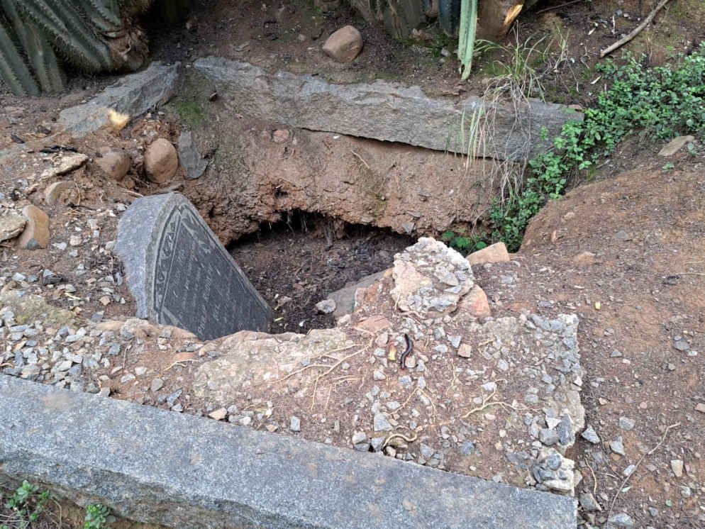 5. Overview / Oorsig