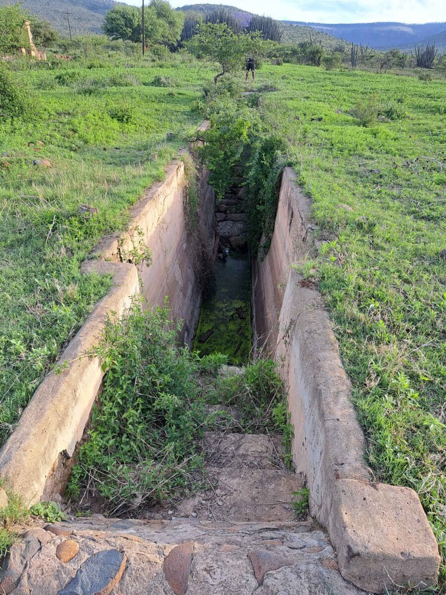 4. Overview / Oorsig