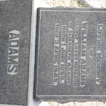 ADAMS William 1855-1946