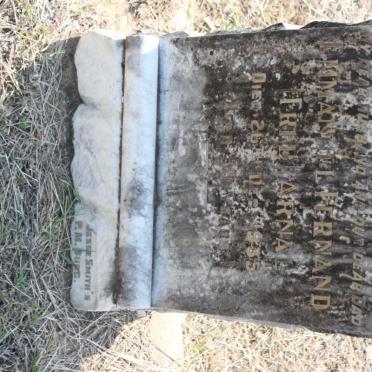 A - Surnames :: Vanne - A