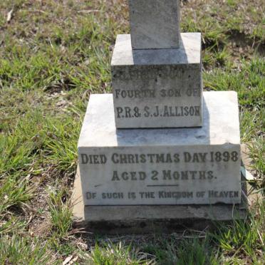 ALLISON Alfred Scott -1898