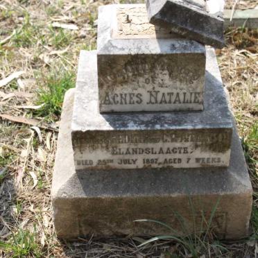 ATKINSON Agnes Natalie 1897-1897