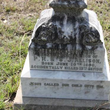 ALLISON Reginald Arthur 1890-1901