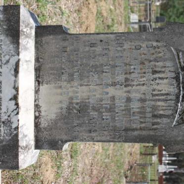 BRANDIS Pedro Emilio, BRENDER A' 1851-1929