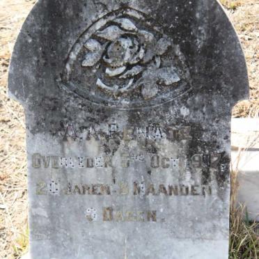 BENADE A.A. 1897-1917