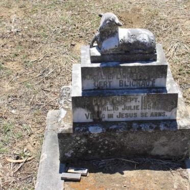 BLIGNAUT Gert 1953-1954