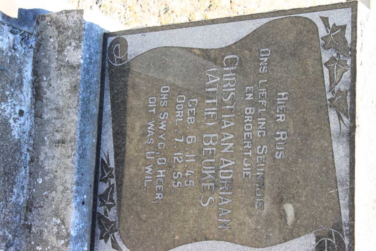 BEUKES Christiaan Adriaan 1945-1955