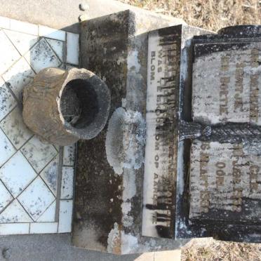 BOTHA Frans 1952-1952