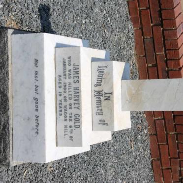 GOLD James Harvey -1900