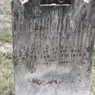 GAMLEY Helen Oswald nee ARBUCKLE 1844-1883