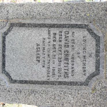 GRIFFITHS David 1876-1912