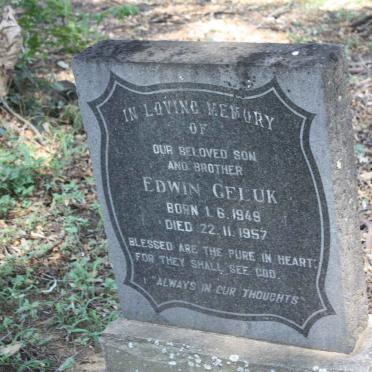 GELUK Edwin 1949-1957