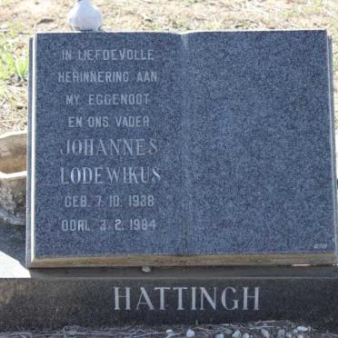 HATTINGH Johannes Lodewikus 1938-1984