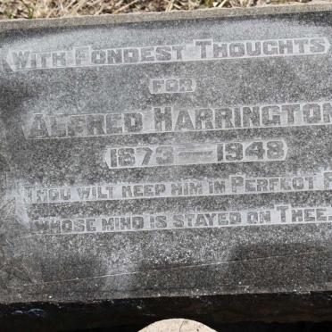 HARRINGTON Alfred 1873-1948