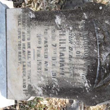 HAMANN H.H. 1917-1937