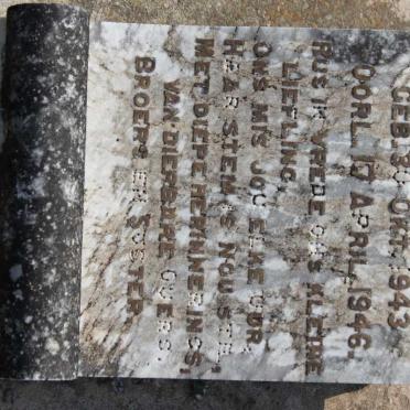 JORDAAN Aletta Maria Magritha 1943-1946