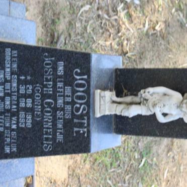 JOOSTE Joseph Cornelis 1990-1993