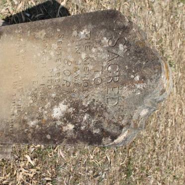 KNOX John James 1850-1886