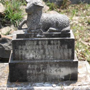KOTZE Hermanus Anthonie 1944-1944