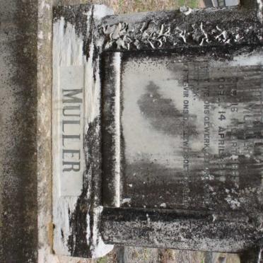 MULLER Jacobus Johannes 1885-1950