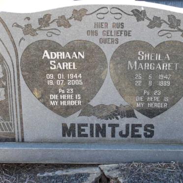 MEINTJES Adriaan Sarel 1944-2005 &amp; Sheila Margaret 1947-1989