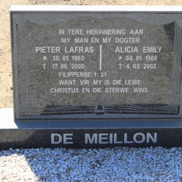 MEILLON Pieter Lafras, de 1963-2000 &amp; Alicia Emily 1988-2002