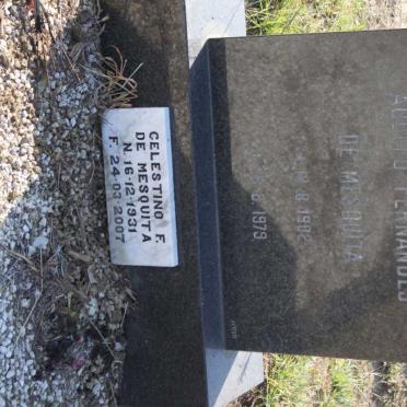 MESQUITA Adolfo Fernades, de 1902-1979 &amp; Celestino F. 1931-2007