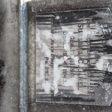 NEL Sussana G.C. 1916-1943