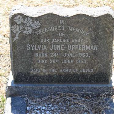 OPPERMAN Sylvia June 1953-1953