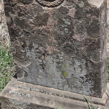 PLAYER Wilfred ? 1882-1885