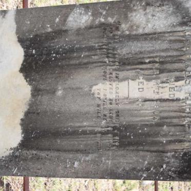 ROBINSON Charles -1885