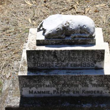 S - Surnames :: Vanne - S