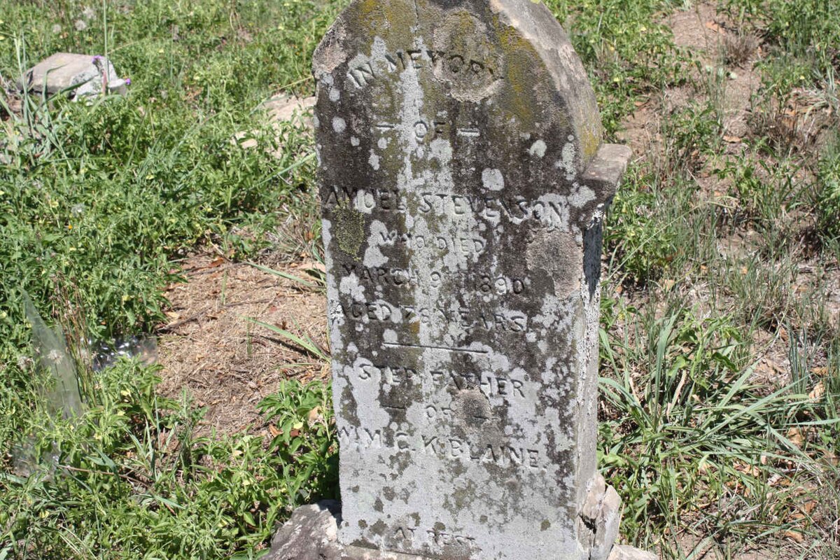 STEVENSON Samuel -1890