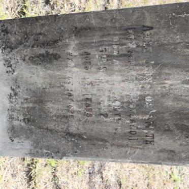 SMITH Anne Johnston 1860-1892